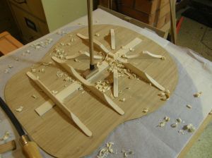 The Gore back bracing design